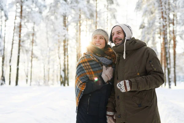 Midja Upp Porträtt Lycklig Par Omfamna Vinter Skog Sett Bort — Stockfoto