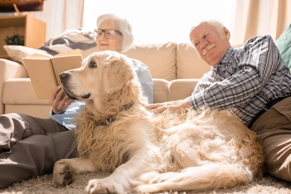 Portrait of happy senior couple with pet dog at home, focus on gorgeous golden retriever in foreground, copy space