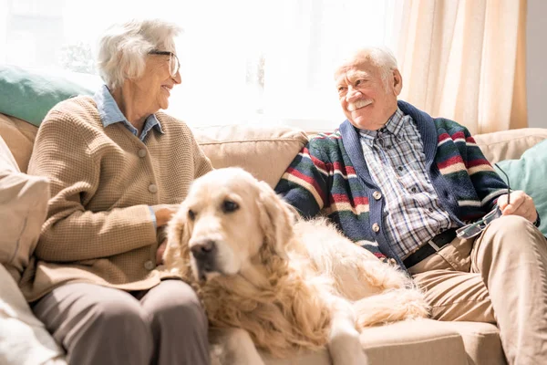 Porträt Eines Glücklichen Seniorenpaares Mit Hund Das Zusammen Auf Der — Stockfoto