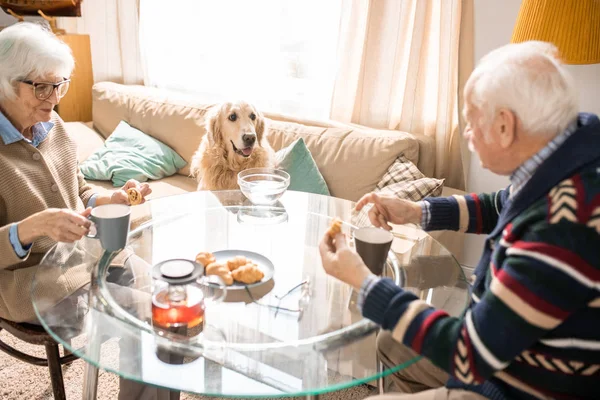 Portrait of senior couple having lunch at table with cute dog sitting on couch and looking at them