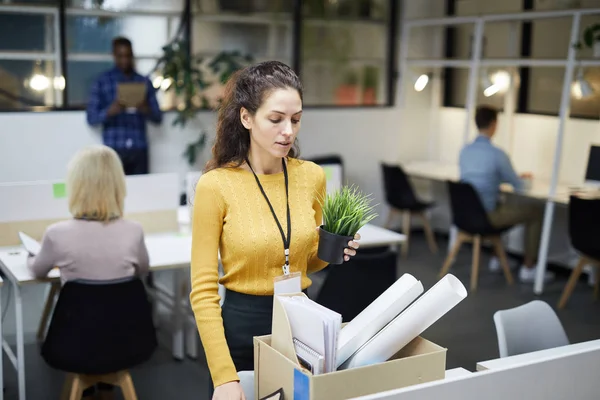 Ateş Çalışan Ofis Bırakarak Kıvırcık Saç Ambalaj Ofis Şeyler Ile — Stok fotoğraf