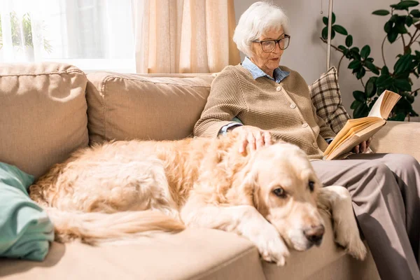 Porträt Einer Seniorin Die Buch Liest Und Hund Umarmt Der — Stockfoto