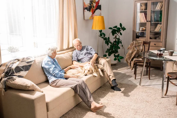Ganzkörperporträt Glücklicher Senioren Beim Kuscheln Mit Hund Auf Couch Sonnenlicht — Stockfoto