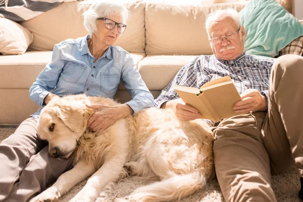 Portrait Happy Senior Couple Cuddling Pet Dog Reading Books Sitting — Stock Photo, Image