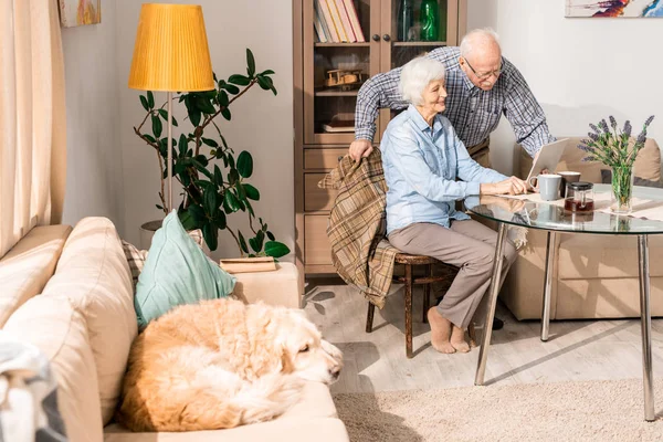 Ganzkörperporträt Moderner Senioren Mit Laptop Heimischen Tisch Sitzend Mit Hund — Stockfoto