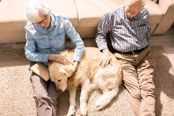 High angle  portrait of happy senior couple cuddling with pet dog sitting on floor at home  in sunlight