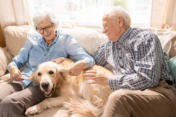 Porträt Eines Glücklichen Senioren Paares Mit Hund Das Auf Der — Stockfoto