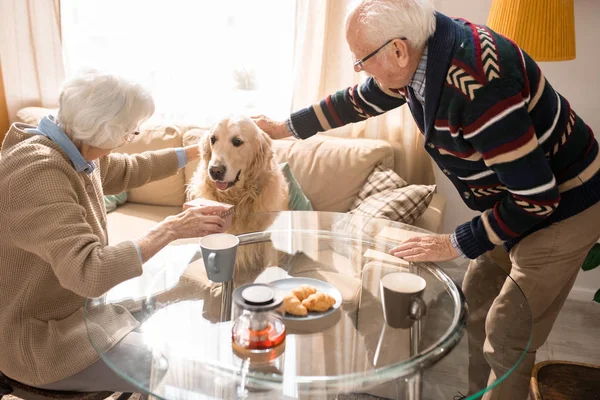 Portrait Happy Senior Couple Hugging Pet Dog Eating Lunch Together — Stock Photo, Image