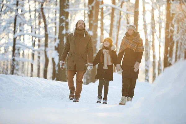 Full Längd Porträtt Happy Family Holding Händer Njuter Promenad Vinterskogen — Stockfoto