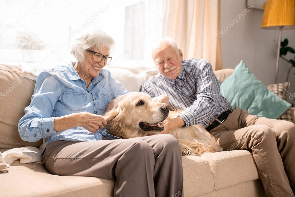 Portrait of happy senior couple with dog sitting on couch enjoying weekend at home in retirement