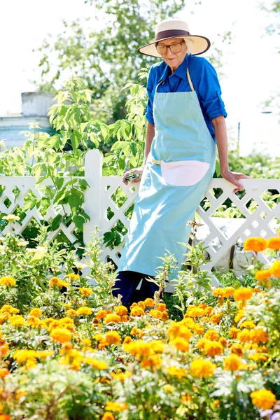 Portrait Joyful Senior Woman Standing Garden Resting Fence — Stock Photo, Image