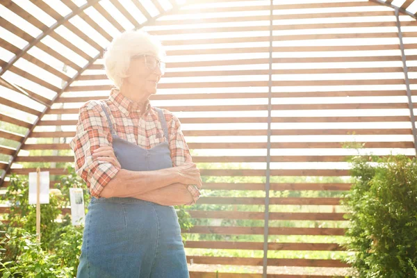 Retrato Mujer Mayor Feliz Posando Jardín Pie Con Los Brazos — Foto de Stock