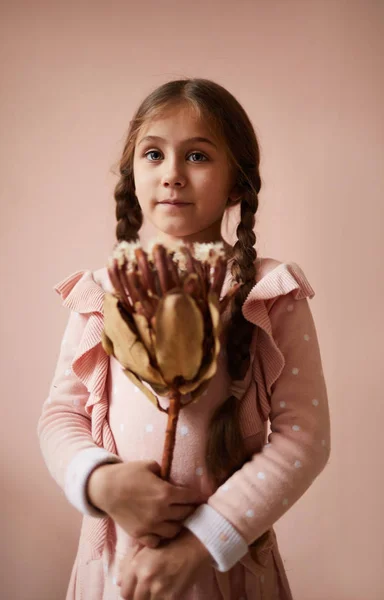 Porträt Eines Niedlichen Kleinen Mädchens Mit Trockenen Blumen Komposition Pastellrosa — Stockfoto