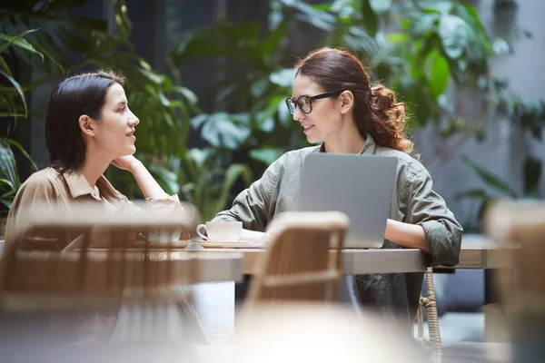 内容自信的年轻女士穿着休闲衬衫坐在咖啡馆的桌子旁 在进行网页设计时使用笔记本电脑 — 图库照片