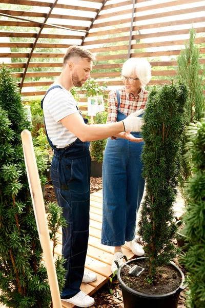 Retrato Completo Dos Granjeros Modernos Cuidando Plantas Jardín Familiar Plantación — Foto de Stock