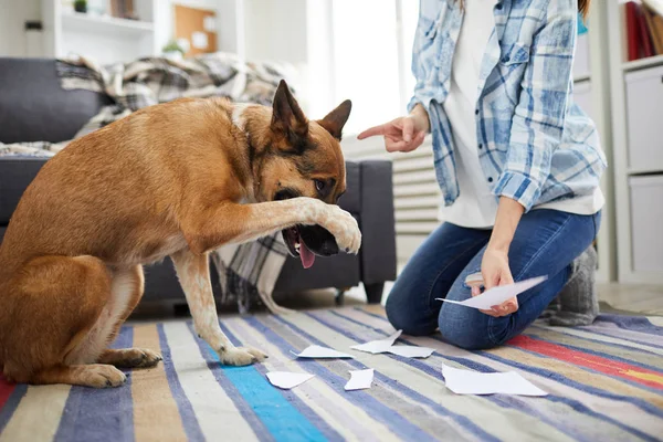 Portrait of unrecognizable woman telling off dog for making mess at home, copy space