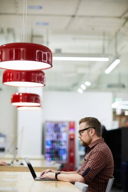 Gözlükciddi meşgul genç sakallı adam masada oturan ve ortak çalışma alanında dizüstü bilgisayar kullanarak
