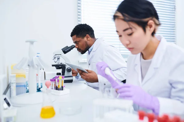 Medical diagnostic specialists analyzing substances: concentrated African-American lab technician using microscope while checking data on tablet