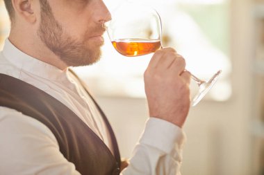 Güneş ışığında şarap tatma oturumu sırasında cam tutan profesyonel şarap garsonu yan görünüm portresi, kopya alanı