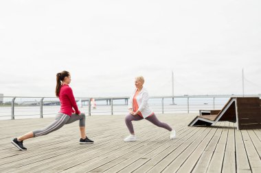 Ahşap iskelede yoga yaparken bacaklar germe iki aktif genç kadın yan görünüm portre, kopya alanı