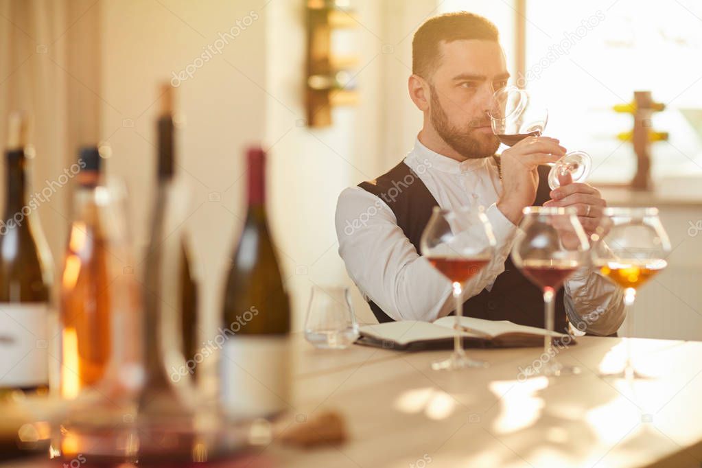 Portrait of professional sommelier tasting wine in sunlight, copy space