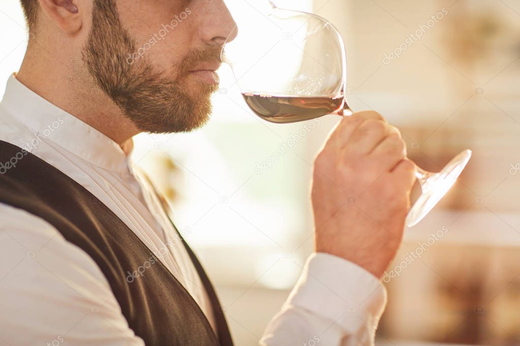 Side view portrait of professional sommelier holding glass during wine tasting session lit by sunlight, copy space