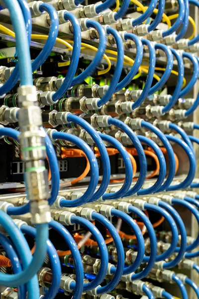 Nahaufnahme Von Blauen Serverkabeln Die Mit Optischen Anschlüssen Moderner Netzwerkausrüstung — Stockfoto