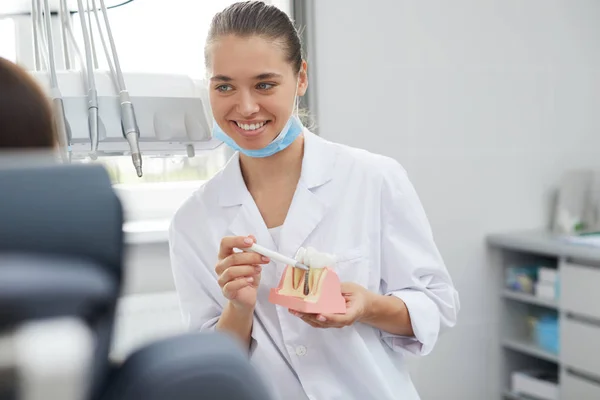 Portrait Smiling Female Dentist Holding Tooth Model Consulting Patient Clinic — Stock Photo, Image