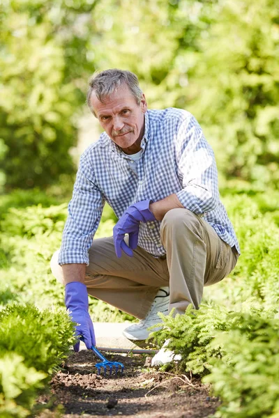 Retrato Comprimento Total Homem Sênior Contemporâneo Jardinagem Livre Olhando Para — Fotografia de Stock