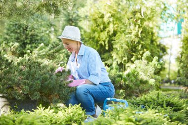 Güneş ışığında çağdaş yaşlı kadın bahçe Yan görünüm portre, kopya alanı