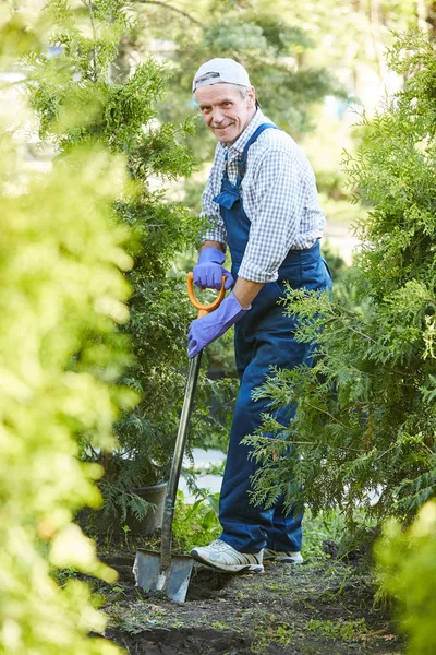 Bahçede Çalışan Kameraya Bakan Gülümseyen Olgun Adamın Tam Uzunlukta Portre — Stok fotoğraf