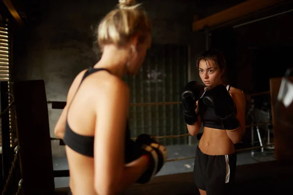 Dramatic waist up portrait of two female boxers fighting in ring, copy space