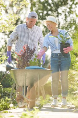 Bahçede kameraya doğru yürüyen mutlu yaşlı çiftin tam uzunlukta portresi, bitkilerle birlikte sepeti itiyor