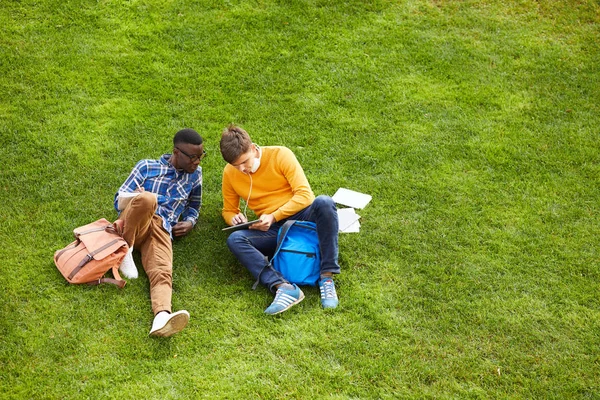 Üniversite kampüsünde yeşil çimenler üzerinde oturan ve açık havada eğitim alan iki öğrencinin geniş açılı portre, kopya alanı
