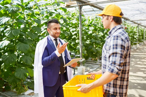 Content Arabian manager with tablet showing fingers while explaining task to greenhouse mover