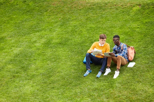 Kampüste yeşil çimenlerin üzerinde oturan ve dijital tablet kullanan iki öğrencinin geniş açılı portresi, kopya alanı