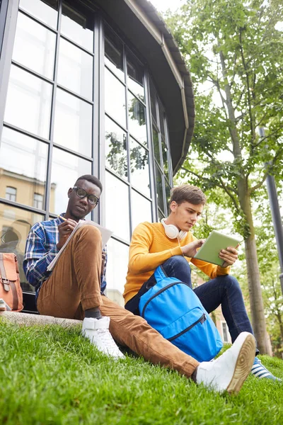 Kampüste yeşil çimenler üzerinde oturan ve açık havada eğitim alan iki öğrencinin düşük açılı portre, kopya alanı