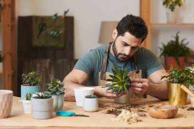 Sakallı bir gencin ev bitkileriyle ilgilenirken dracaena ve sulu bitki saklama portresi, kopyalama alanı