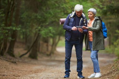 Güzel sonbahar ormanlarında yürüyüş yaparken akıllı telefondan navigasyon uygulaması kullanarak aktif kıdemli çiftin tam boy portresi, kopyalama alanı
