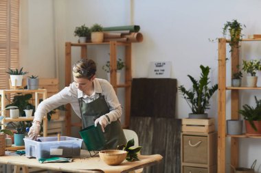 Geniş açılı genç kadın portresi. Kapalı alandaki ev bitkileriyle ilgilenirken tencereye taze toprak koyuyor. Boşluğu kopyalıyor.