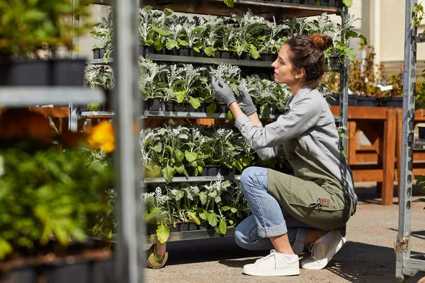 Retrato Larga Duración Una Joven Trabajadora Cuidando Plantas Invernadero Vivero — Foto de Stock