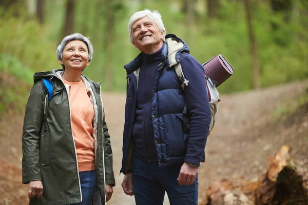 Waist Portrait Active Senior Couple Looking Smiling While Enjoying Hike — Stock Photo, Image
