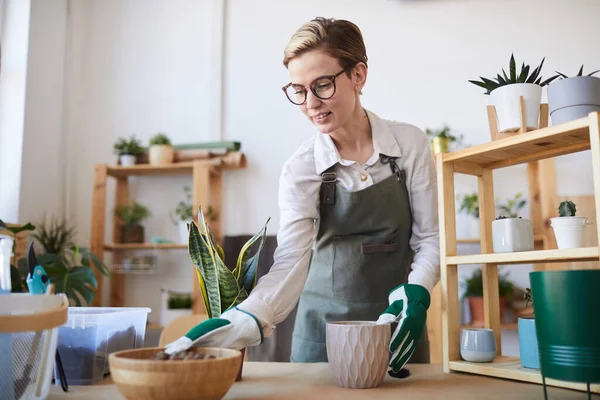 家庭菜園を楽しみながら植物を植える現代の若い女性のウエストアップの肖像画 コピースペース — ストック写真