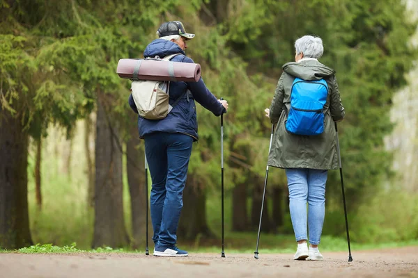 Kembali Melihat Potret Aktif Pasangan Senior Menikmati Berjalan Jalan Nordik — Stok Foto
