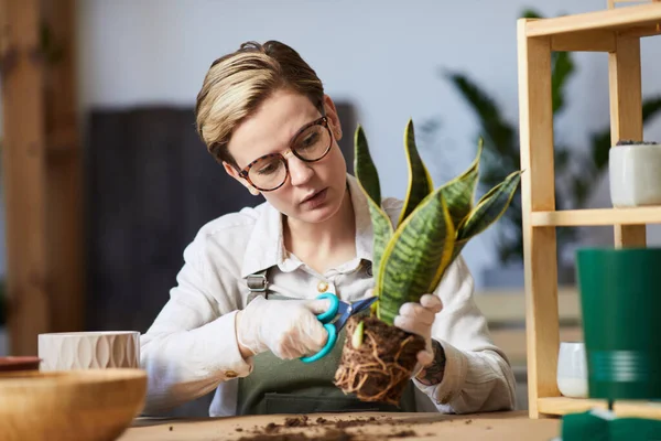 家庭菜園を屋内で楽しみながら植物を植える現代の若い女性の肖像画 スペースをコピー — ストック写真