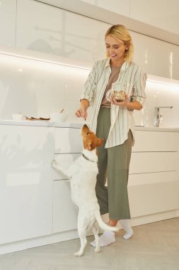 Güzel bir kadının dikey portresi. Minimum mutfak içinde sağlıklı bir kahvaltı hazırlarken evcil köpeğe ikramda bulunuyor.