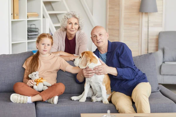 Warm Portrait Red Haired Girl Grandparents Sitting Couch Playing Dog — Stock Photo, Image