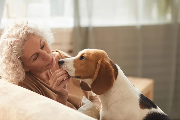 Porträt Einer Weißhaarigen Seniorin Die Mit Hund Spielt Und Ihm — Stockfoto