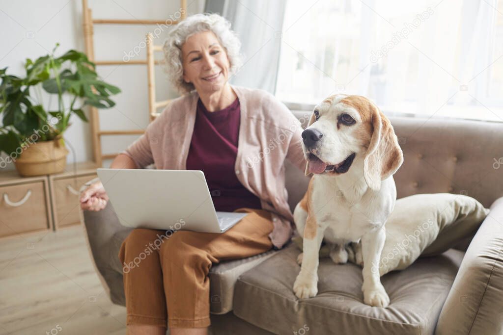 Portrait of smiling senior woman using laptop while sitting with dog on sofa in cozy apartment and smiling at camera, copy space
