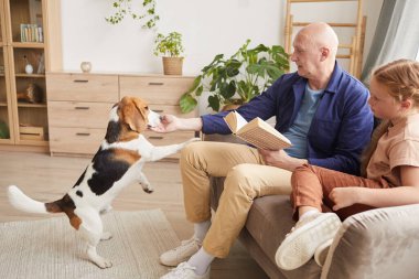 Oturma odasında torunumla kitap okurken köpekle oynayan yaşlı adamın yan görünüm portresi.